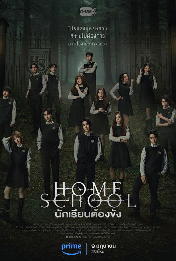 Домашняя школа смотреть онлайн в HD 1080