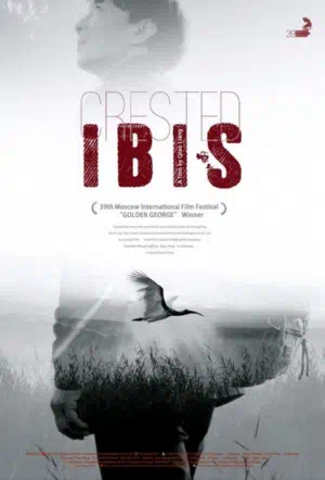 Хохлатый ибис смотреть онлайн в HD 1080