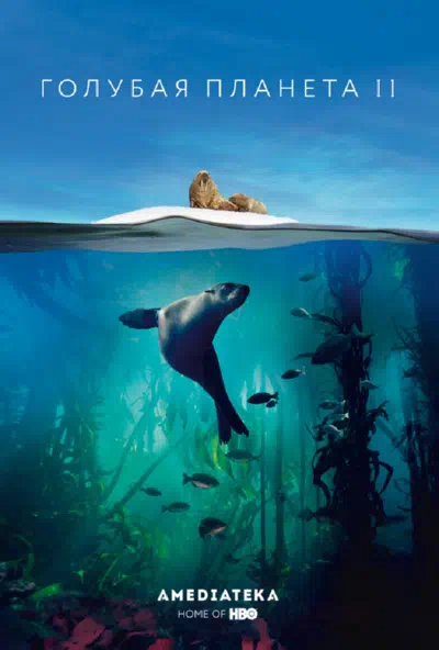 Голубая планета 2 смотреть онлайн в HD 1080