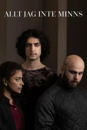 Все, чего я не помню смотреть онлайн в HD 1080