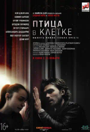 Птица в клетке смотреть онлайн в HD 1080