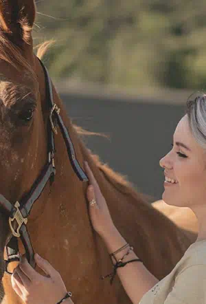 Мистика смотреть онлайн в HD 1080