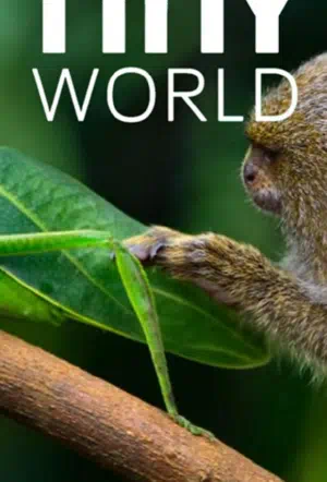 Крошечный мир смотреть онлайн бесплатно