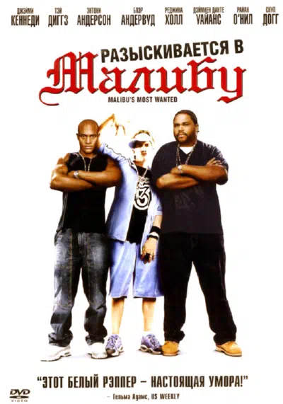 Разыскиваются в Малибу смотреть онлайн в HD 1080