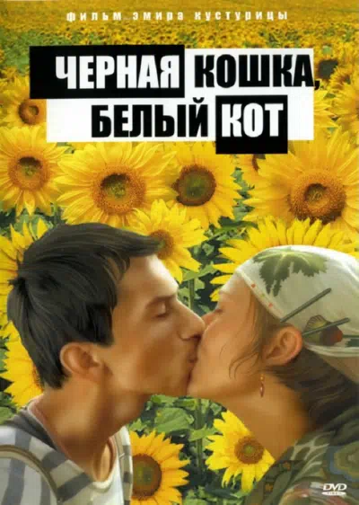 Черная кошка, белый кот смотреть онлайн в HD 1080