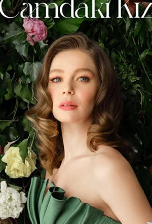 Девушка за стеклом смотреть онлайн в HD 1080