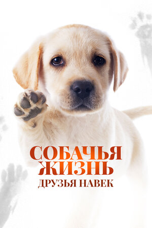 Собачья жизнь: Друзья навек смотреть онлайн в HD 1080