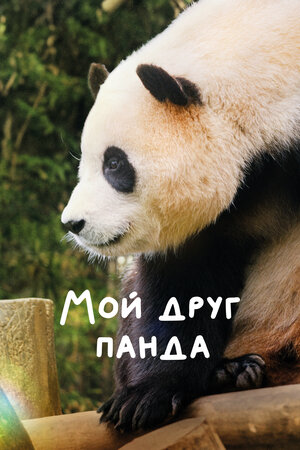 Мой друг панда 2024 смотреть в хорошем качестве