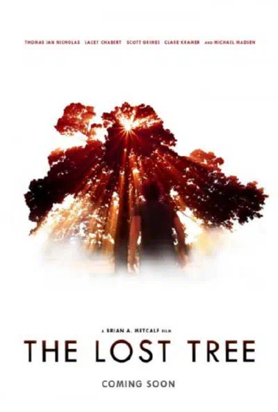 Потерянное дерево смотреть онлайн в HD 1080