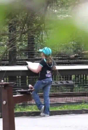 Школа-зоопарк смотреть онлайн в HD 1080