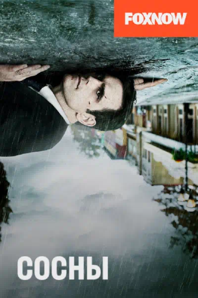 Уэйуорд Пайнс / Сосны смотреть онлайн в HD 1080