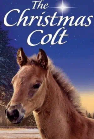Рождественский жеребёнок смотреть онлайн в HD 1080