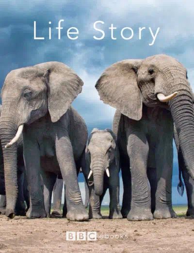 История жизни смотреть онлайн в HD 1080