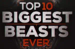 Топ-10 мегамонстров смотреть онлайн в HD 1080