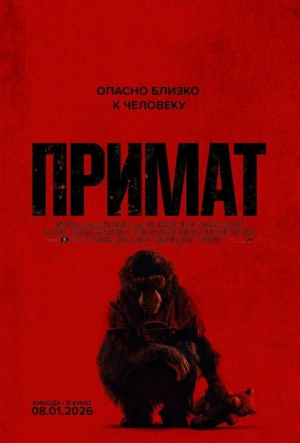 Примат смотреть онлайн в HD 1080